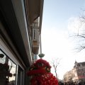 IMG_960369