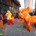 IMG_960713