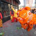 IMG_960716