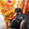 IMG_960743