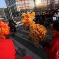 IMG_960751