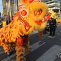 IMG_960758