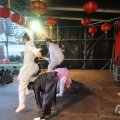 IMG_960917