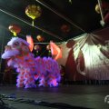 IMG_960996