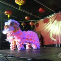 IMG_961010