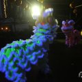 IMG_961029