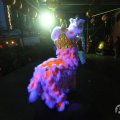 IMG_961034