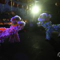 IMG_961036