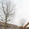 IMG_962399