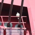 IMG_962569