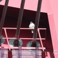 IMG_962570