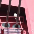 IMG_962571