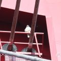 IMG_962574