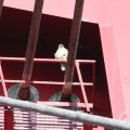 IMG_962575