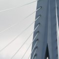 IMG_962595