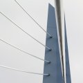 IMG_962612