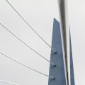 IMG_962613
