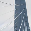 IMG_962631