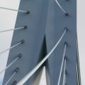 IMG_962650
