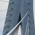 IMG_962651
