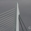 IMG_962705