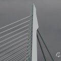 IMG_962706