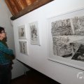 IMG_962846
