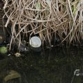 IMG_963440