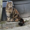 IMG_963594