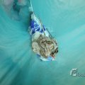 IMG_963601