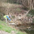 IMG_963611