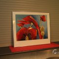 IMG_964192