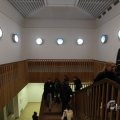 IMG_964419