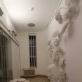 IMG_964542