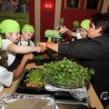 IMG_965231