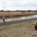 IMG_967482