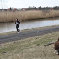 IMG_967495