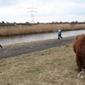 IMG_967520