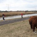 IMG_967522