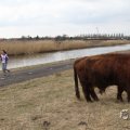 IMG_967529