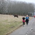 IMG_967531