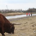 IMG_967544