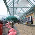IMG_967760