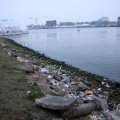 IMG_969274