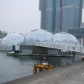 IMG_969287