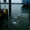 IMG_969306
