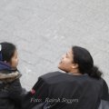 _MG_3528