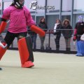 IMG_2251