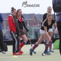 IMG_2253