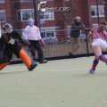 IMG_2278